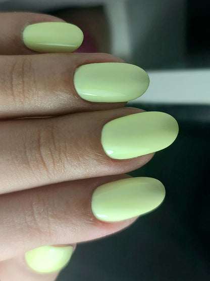 Shiny 042